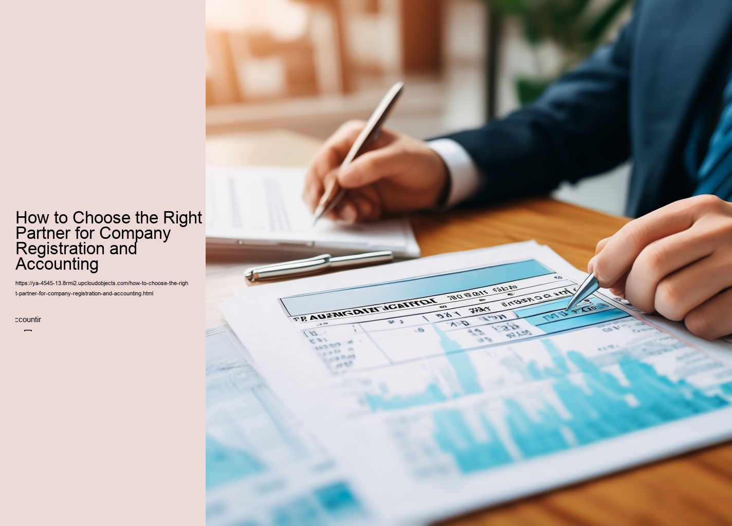 How to Choose the Right Partner for Company Registration and Accounting