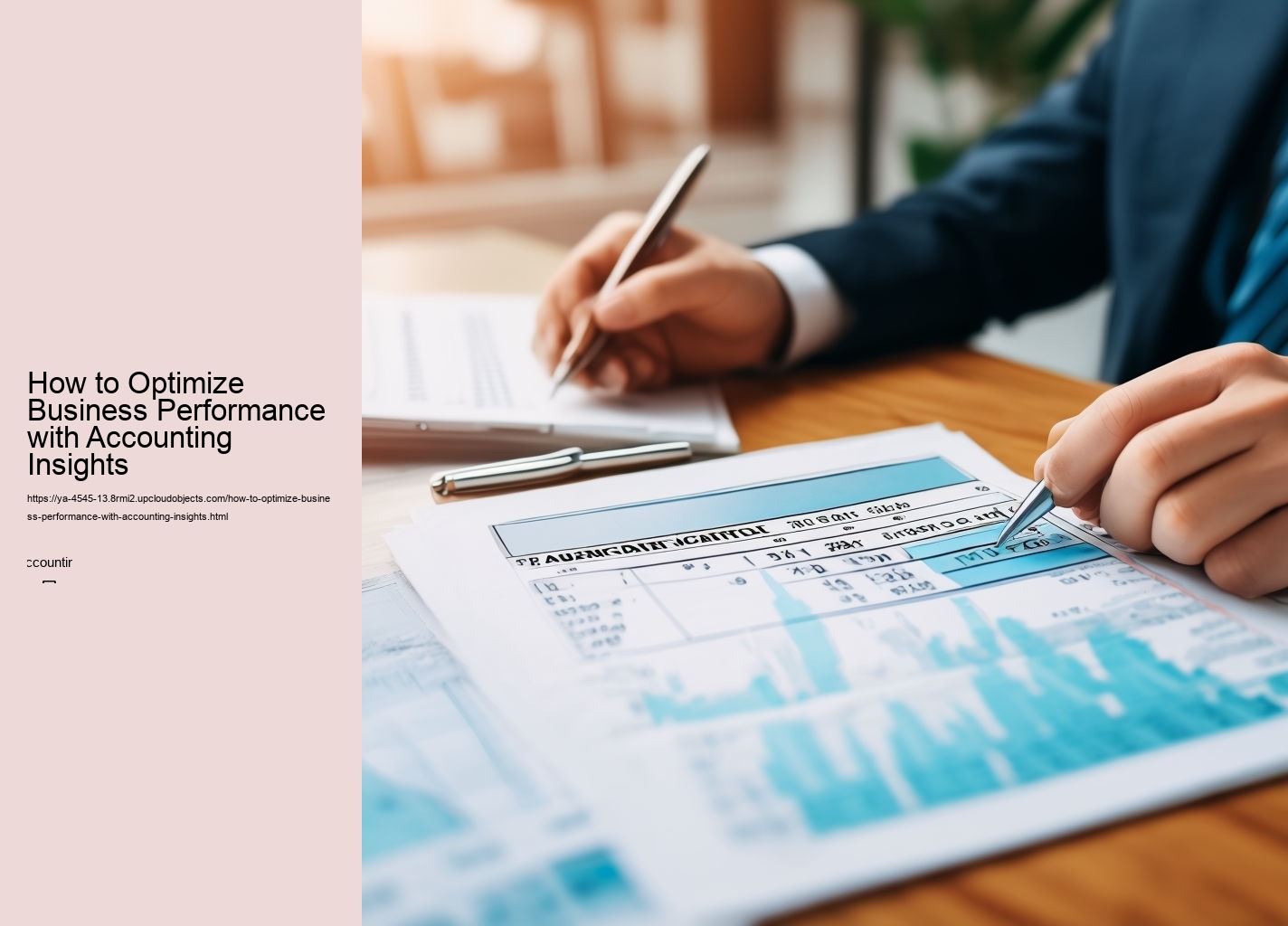 How to Optimize Business Performance with Accounting Insights